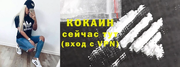 прущие крисы Абаза