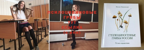 бошки Алзамай
