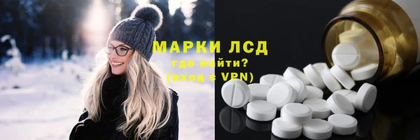 гашик Алексин