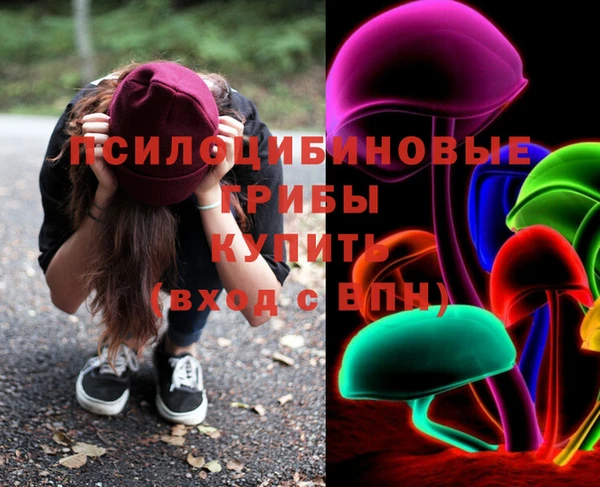 прущие крисы Абаза
