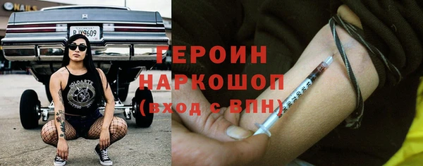гашик Алексин